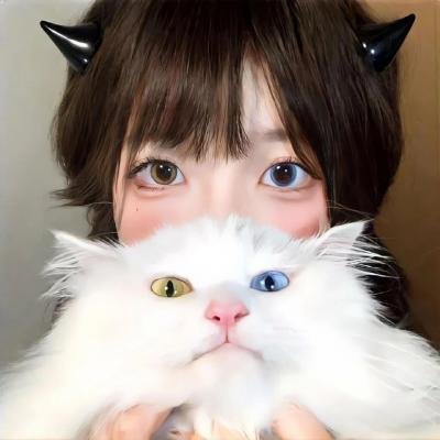 五十公里桃花坞第二季